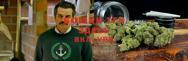 ешки Аркадак