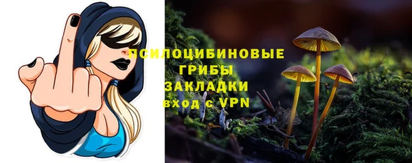 дмт Армянск